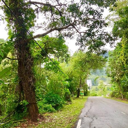 Selesa Resort Homestay Janda Baik Exterior foto